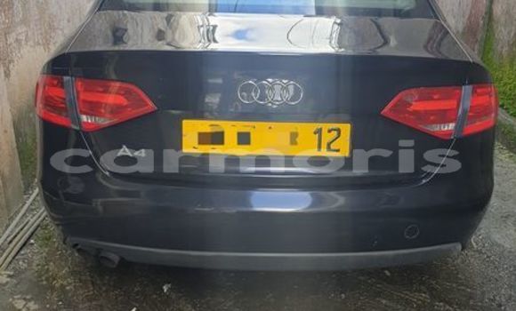 Buy Used Audi A8 Other Car in Baie Malgache in Rodrigues Buy Used Audi A8 Other Car in Baie Malgache in Rodrigues