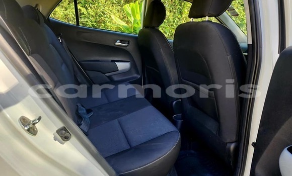 Buy Used Kia Picanto Other Car in Amitié–Gokhoola in Rivière du Rempart District Buy Used Kia Picanto Other Car in Amitié–Gokhoola in Rivière du Rempart District
