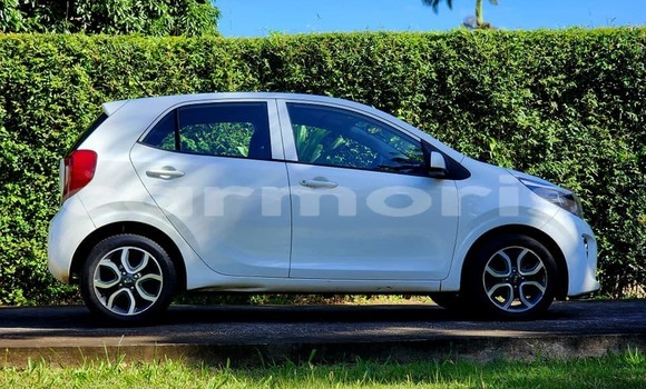 Buy Used Kia Picanto Other Car in Amitié–Gokhoola in Rivière du Rempart District Buy Used Kia Picanto Other Car in Amitié–Gokhoola in Rivière du Rempart District
