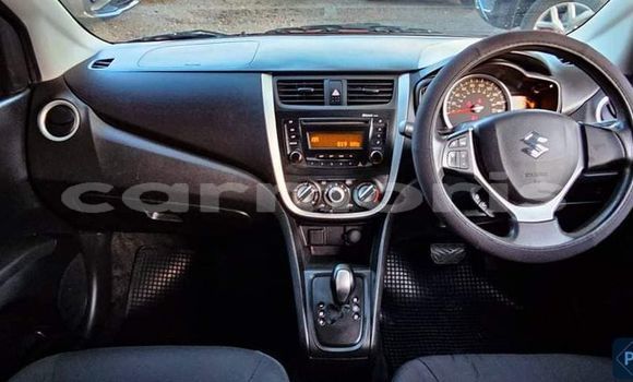 Buy Used Suzuki Celerio Red Car in Arsenal in Pamplemousses District Buy Used Suzuki Celerio Red Car in Arsenal in Pamplemousses District