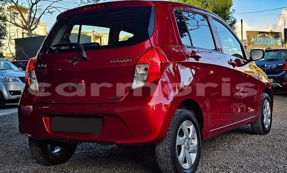 Buy Used Suzuki Celerio Red Car in Arsenal in Pamplemousses District Buy Used Suzuki Celerio Red Car in Arsenal in Pamplemousses District