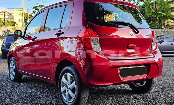 Buy Used Suzuki Celerio Red Car in Arsenal in Pamplemousses District Buy Used Suzuki Celerio Red Car in Arsenal in Pamplemousses District