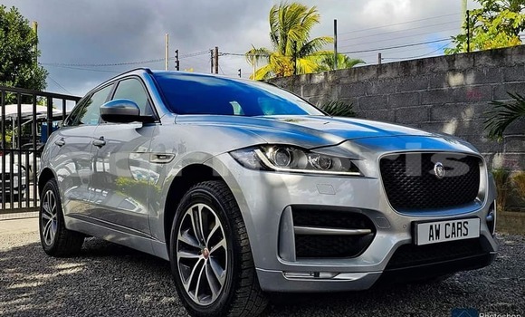 Buy Used Jaguar E-Pace Other Car in Baie du Tombeau in Pamplemousses District Buy Used Jaguar E-Pace Other Car in Baie du Tombeau in Pamplemousses District
