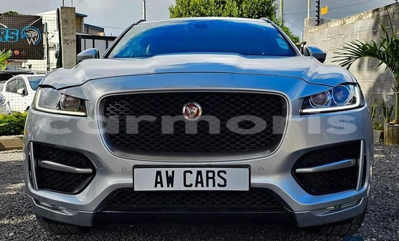 Buy Used Jaguar E-Pace Other Car in Baie du Tombeau in Pamplemousses District Buy Used Jaguar E-Pace Other Car in Baie du Tombeau in Pamplemousses District