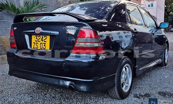 Buy Used Toyota Corolla Black Car in Baie Malgache in Rodrigues Buy Used Toyota Corolla Black Car in Baie Malgache in Rodrigues
