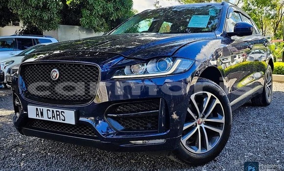 Buy Used Jaguar F-Pace Black Car in Baie du Tombeau in Pamplemousses District