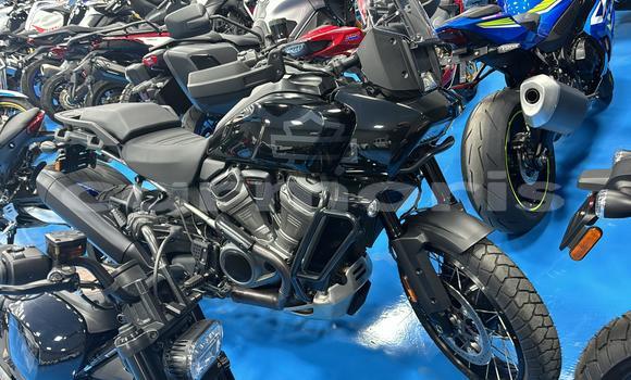 Buy Used Harley Davidson S Black Bike in Port Louis in Port Louis District Buy Used Harley Davidson S Black Bike in Port Louis in Port Louis District