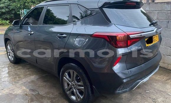 Buy Used Kia Sedona Other Car in Port Louis in Port Louis District Buy Used Kia Sedona Other Car in Port Louis in Port Louis District