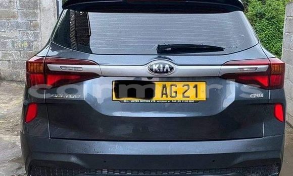 Buy Used Kia Sedona Other Car in Port Louis in Port Louis District Buy Used Kia Sedona Other Car in Port Louis in Port Louis District