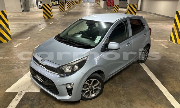 Buy Used Kia Picanto White Car in Anse La Raie in Rivière du Rempart District Buy Used Kia Picanto White Car in Anse La Raie in Rivière du Rempart District