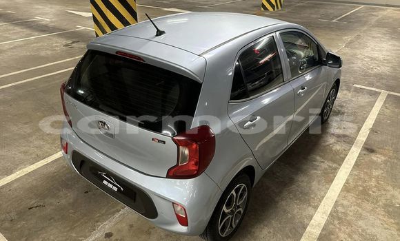 Buy Used Kia Picanto White Car in Anse La Raie in Rivière du Rempart District Buy Used Kia Picanto White Car in Anse La Raie in Rivière du Rempart District