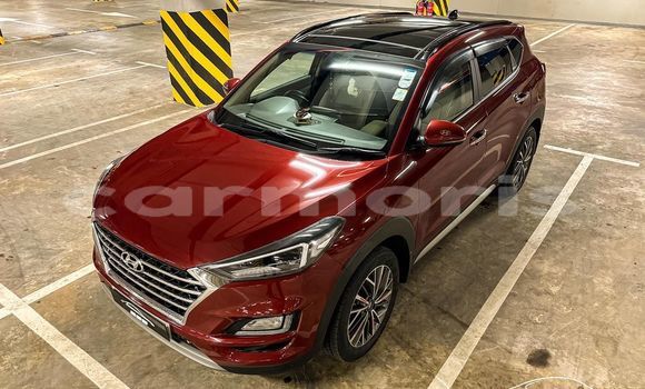 Buy Used Hyundai Tucson Other Car in Anse La Raie in Rivière du Rempart District Buy Used Hyundai Tucson Other Car in Anse La Raie in Rivière du Rempart District