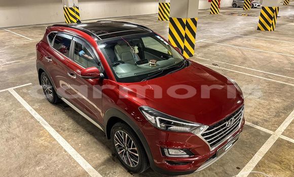 Buy Used Hyundai Tucson Other Car in Anse La Raie in Rivière du Rempart District Buy Used Hyundai Tucson Other Car in Anse La Raie in Rivière du Rempart District