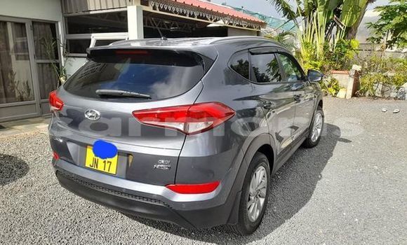 Buy Used Hyundai Tucson Other Car in Mahébourg in Grand Port District Buy Used Hyundai Tucson Other Car in Mahébourg in Grand Port District