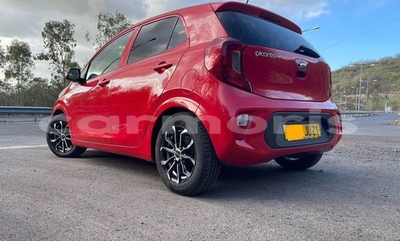 Buy Used Kia Picanto Other Car in Port Louis in Port Louis District Buy Used Kia Picanto Other Car in Port Louis in Port Louis District