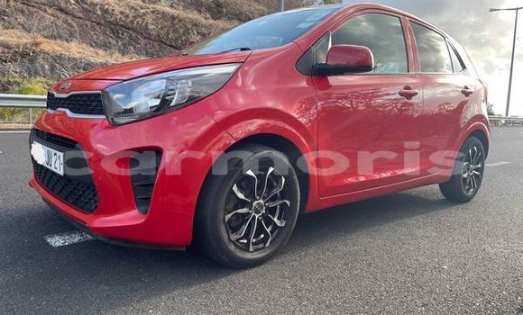 Buy Used Kia Picanto Other Car in Port Louis in Port Louis District Buy Used Kia Picanto Other Car in Port Louis in Port Louis District
