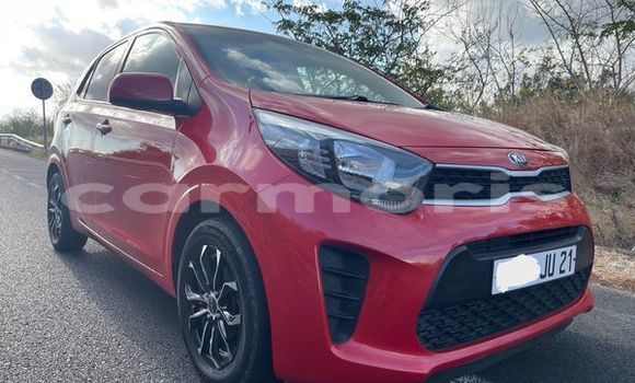 Buy Used Kia Picanto Other Car in Port Louis in Port Louis District Buy Used Kia Picanto Other Car in Port Louis in Port Louis District