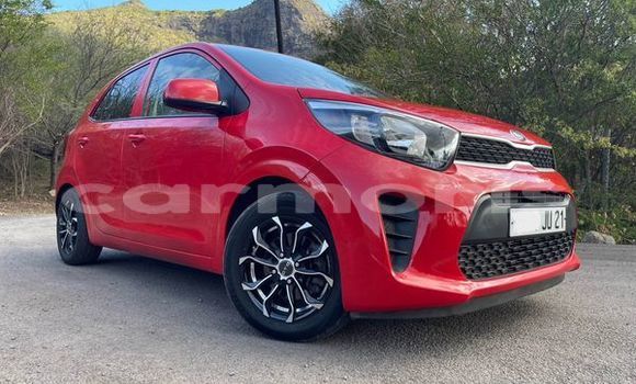 Buy Used Kia Picanto Other Car in Port Louis in Port Louis District Buy Used Kia Picanto Other Car in Port Louis in Port Louis District