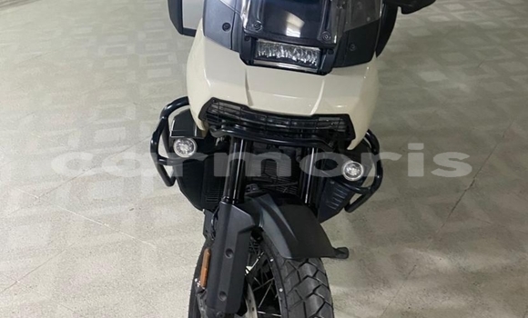 Buy Used Harley Davidson Dyna Other Bike in Port Louis in Port Louis District Buy Used Harley Davidson Dyna Other Bike in Port Louis in Port Louis District