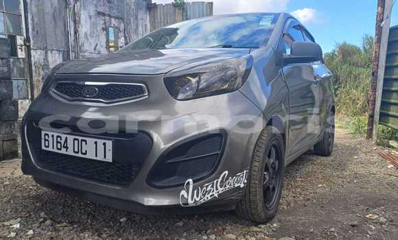 Buy Used Kia Picanto Silver Car in Curepipe in Plaines Wilhems District Buy Used Kia Picanto Silver Car in Curepipe in Plaines Wilhems District