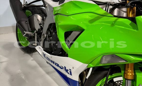 Buy Used Kawasaki Ninja White Bike in Port Louis in Port Louis District Buy Used Kawasaki Ninja White Bike in Port Louis in Port Louis District