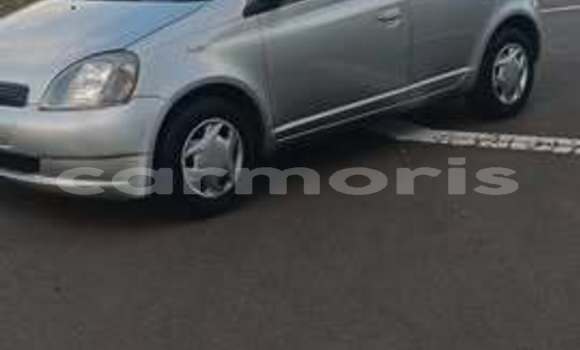 Buy Used Toyota Vitz Other Car in Port Louis in Port Louis District Buy Used Toyota Vitz Other Car in Port Louis in Port Louis District