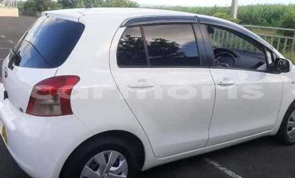 Buy Used Toyota Vitz Other Car in Port Louis in Port Louis District Buy Used Toyota Vitz Other Car in Port Louis in Port Louis District