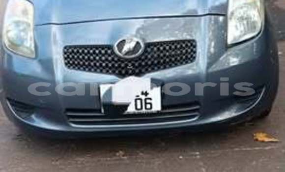 Buy Used Toyota Vitz Other Car in Port Louis in Port Louis District Buy Used Toyota Vitz Other Car in Port Louis in Port Louis District