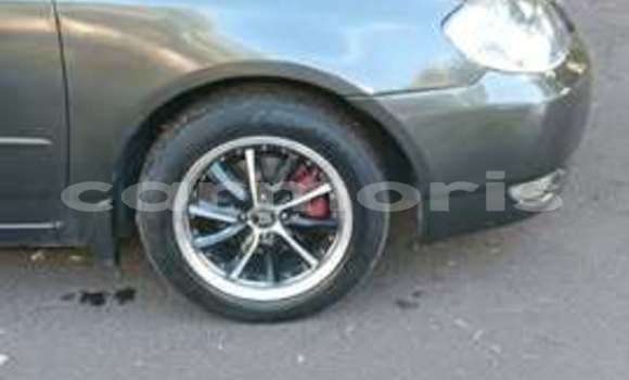 Buy Used Toyota Noah Other Car in Port Louis in Port Louis District Buy Used Toyota Noah Other Car in Port Louis in Port Louis District