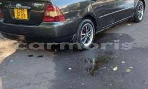 Buy Used Toyota Noah Other Car in Port Louis in Port Louis District Buy Used Toyota Noah Other Car in Port Louis in Port Louis District