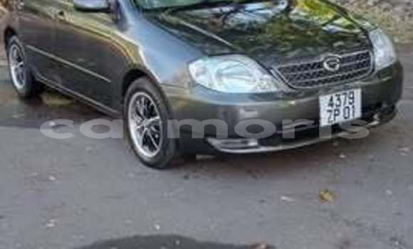 Buy Used Toyota Noah Other Car in Port Louis in Port Louis District Buy Used Toyota Noah Other Car in Port Louis in Port Louis District