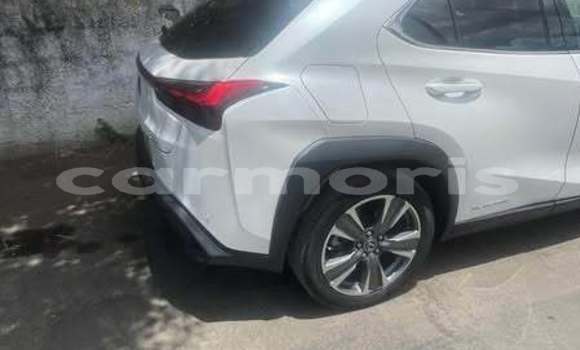 Buy Used Lexus UX Other Car in Port Louis in Port Louis District Buy Used Lexus UX Other Car in Port Louis in Port Louis District