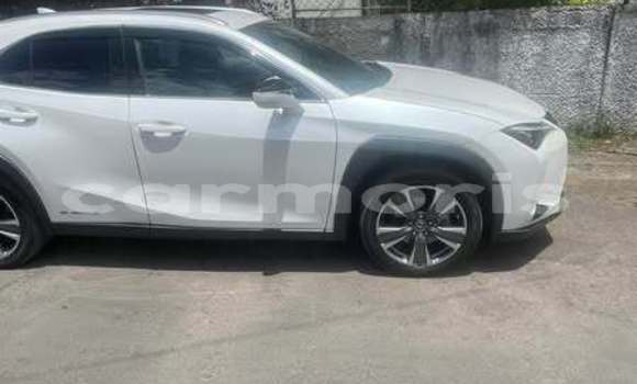 Buy Used Lexus UX Other Car in Port Louis in Port Louis District Buy Used Lexus UX Other Car in Port Louis in Port Louis District