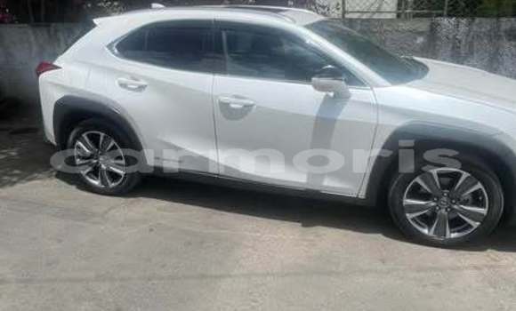 Buy Used Lexus UX Other Car in Port Louis in Port Louis District Buy Used Lexus UX Other Car in Port Louis in Port Louis District