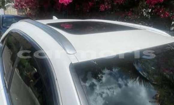 Buy Used Lexus UX Other Car in Port Louis in Port Louis District Buy Used Lexus UX Other Car in Port Louis in Port Louis District