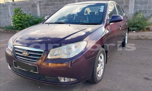 Buy Used Hyundai Elantra Other Car in Olivia in Flacq