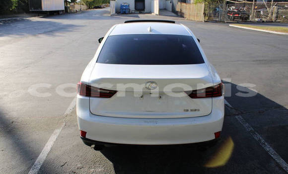 Buy Used Lexus IS White Car in Bananes in Grand Port District Buy Used Lexus IS White Car in Bananes in Grand Port District