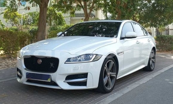 Buy Used Jaguar XF White Car in Port Louis in Port Louis District Buy Used Jaguar XF White Car in Port Louis in Port Louis District