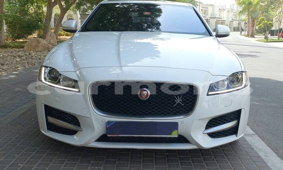 Buy Used Jaguar XF White Car in Port Louis in Port Louis District Buy Used Jaguar XF White Car in Port Louis in Port Louis District