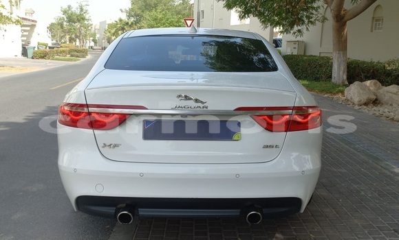 Buy Used Jaguar XF White Car in Port Louis in Port Louis District Buy Used Jaguar XF White Car in Port Louis in Port Louis District