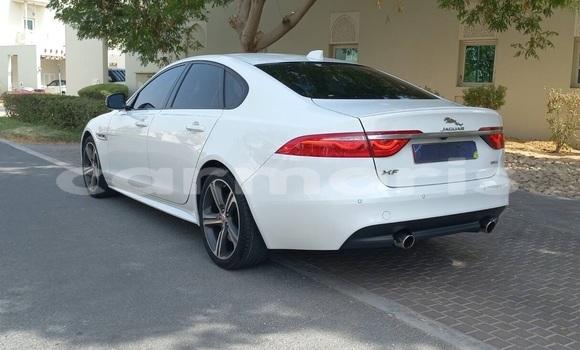 Buy Used Jaguar XF White Car in Port Louis in Port Louis District Buy Used Jaguar XF White Car in Port Louis in Port Louis District