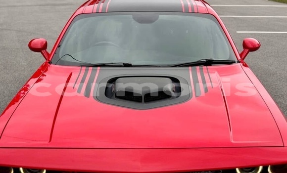 Buy Used Dodge Challenger Red Car in Port Louis in Port Louis District Buy Used Dodge Challenger Red Car in Port Louis in Port Louis District