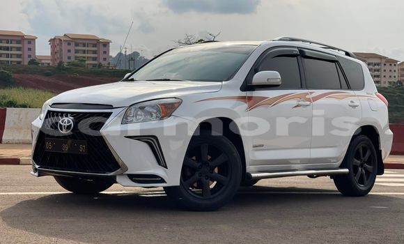 Buy Used Toyota RAV4 White Car in Port Louis in Port Louis District Buy Used Toyota RAV4 White Car in Port Louis in Port Louis District
