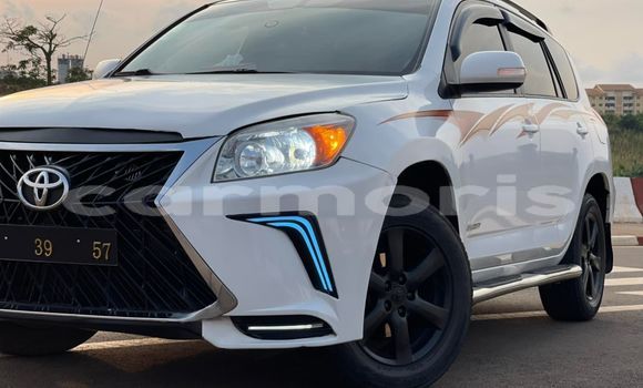 Buy Used Toyota RAV4 White Car in Port Louis in Port Louis District Buy Used Toyota RAV4 White Car in Port Louis in Port Louis District