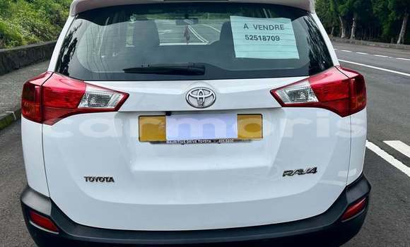 Buy Used Toyota RAV4 Other Car in Rose Belle in Grand Port District