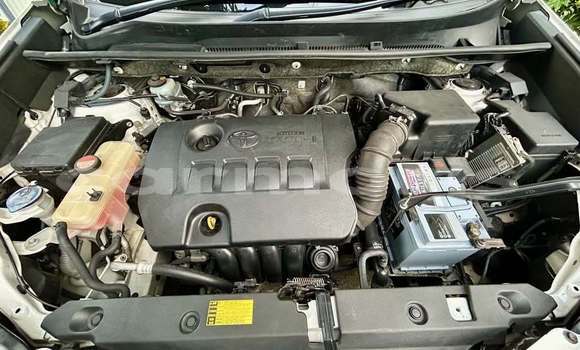 Buy Used Toyota RAV4 Other Car in Rose Belle in Grand Port District Buy Used Toyota RAV4 Other Car in Rose Belle in Grand Port District