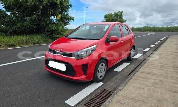 Buy Used Kia Picanto Other Car in Rose Belle in Grand Port District Buy Used Kia Picanto Other Car in Rose Belle in Grand Port District