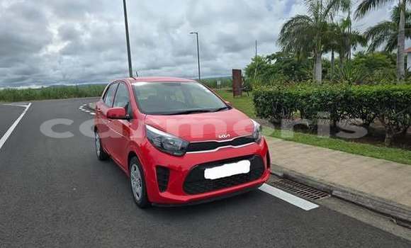 Buy Used Kia Picanto Other Car in Rose Belle in Grand Port District Buy Used Kia Picanto Other Car in Rose Belle in Grand Port District