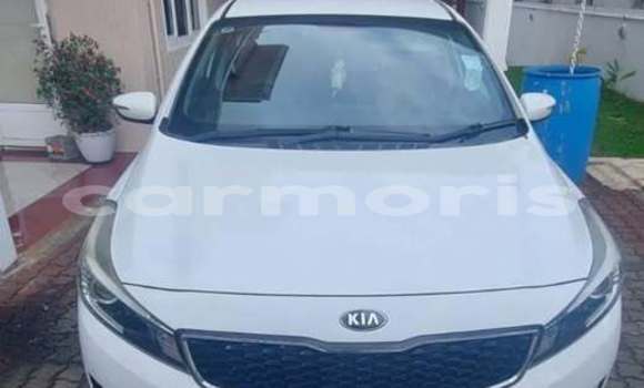 Buy Used Kia Cerato Other Car in Rose Belle in Grand Port District