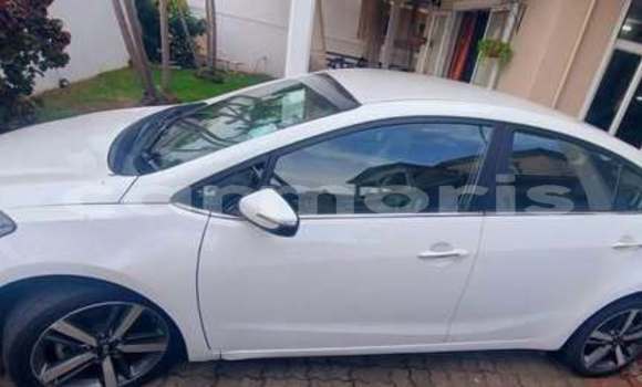 Buy Used Kia Cerato Other Car in Rose Belle in Grand Port District Buy Used Kia Cerato Other Car in Rose Belle in Grand Port District